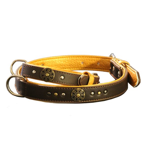 Kaulapanta metallikuvioin on kaunis ruskean kultainen koiran panta.