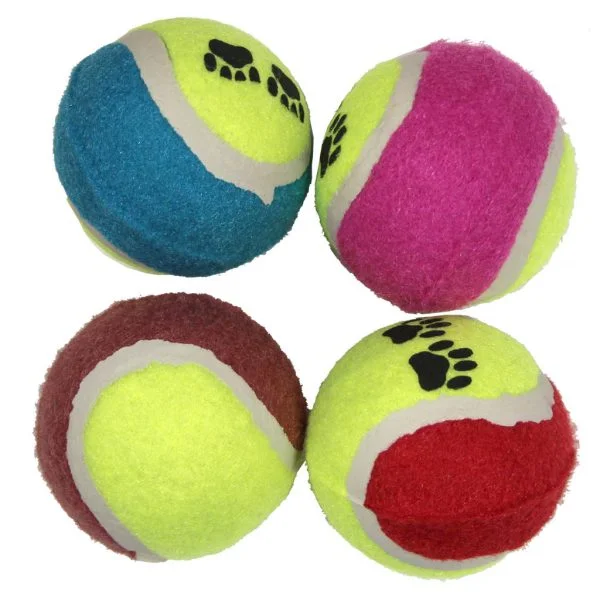 Tennispallo koiralle on edullinen lelu.