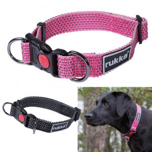Rukka Star heijastinpanta koiralle, joko pinkkinä tai mustana.
