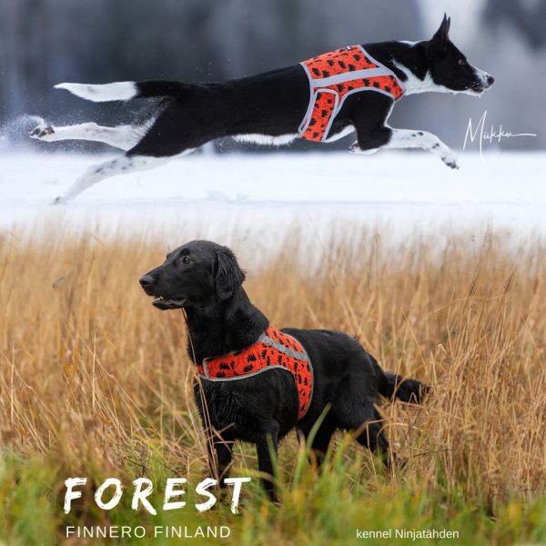 FinNero Forest heijastinliivi koiralle.