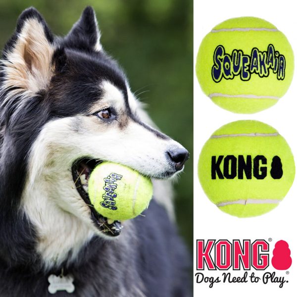 Kong tennispallo on suosittu koiran lelu.