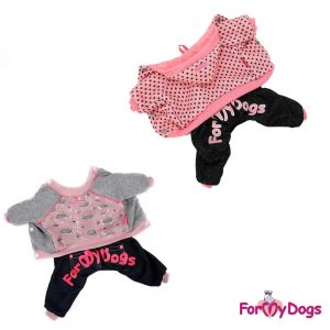 For My Dogs college haalarit pienelle koiralle