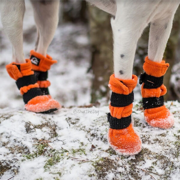 Finnero Halla tossut suojaavat koiran jalkoja tehokkaasti kylmyydeltä ja terävältä pakkaslumelta.