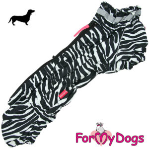 Mäyräkoiran, mustavalko raidallinen talvihaalari.