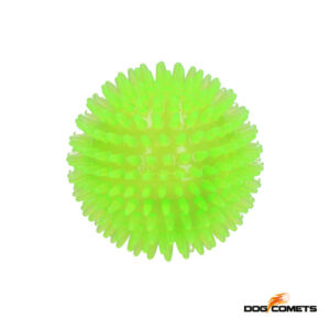 Koiran nystyrä pallo vingulla.