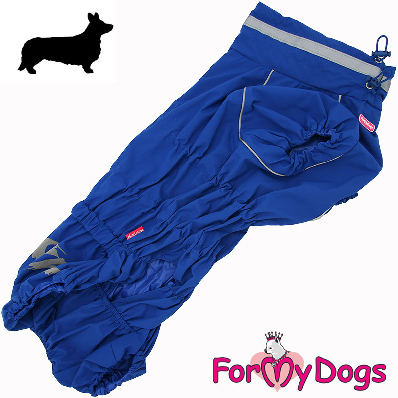 Hyvin suojattu mahanalusta koiran sadehaalarissa.