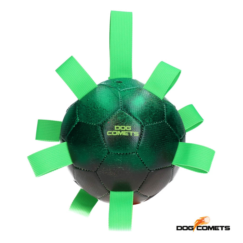 Koiran reilun kokoinen pallo.