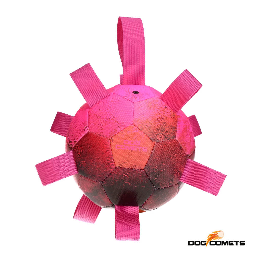Reilunkokoinen koiran pallo.