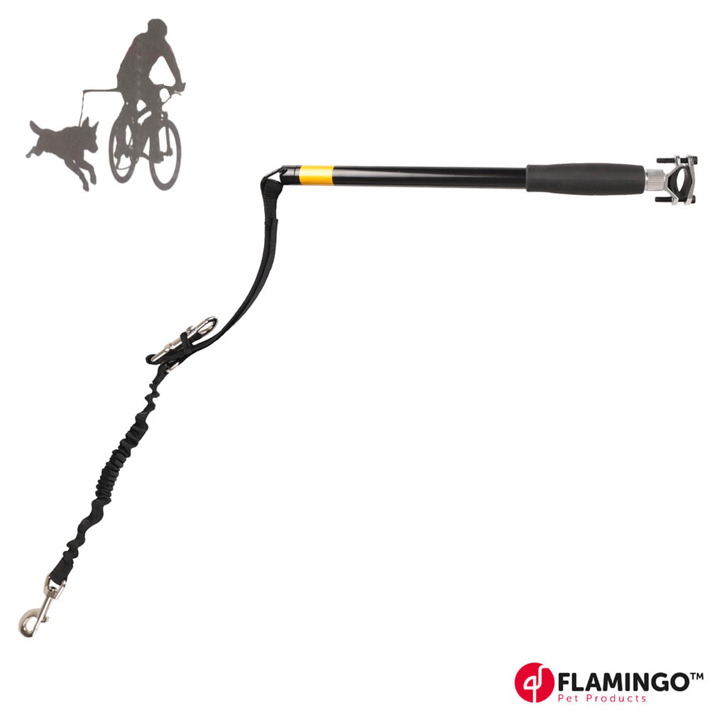 Polkupyöräilytys teline koiralle.