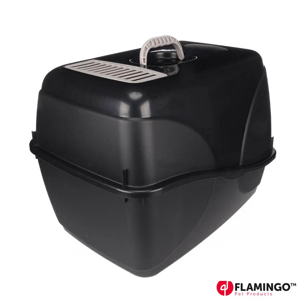 Kissan hiekkalaatikko kuvattuna takaa.