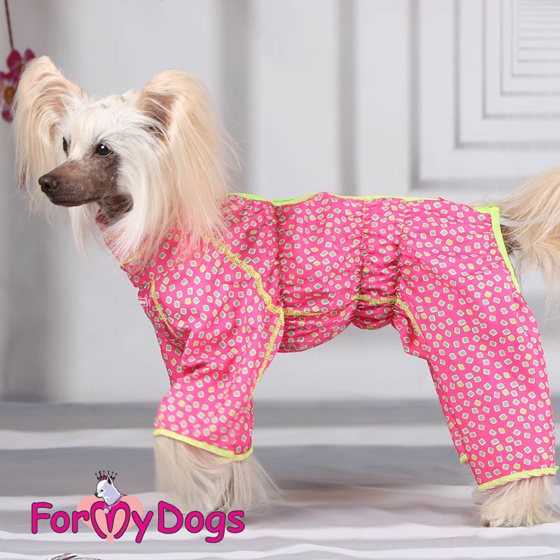 Suojaava kesähaalari istuu hyvin koiran ylle.