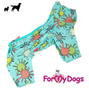 Koiran kevyt haalari.