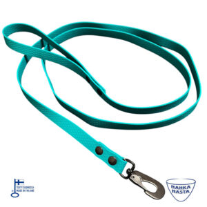Hexa talutin koirlle vihreän värisenä ja mustilla metalliosilla.