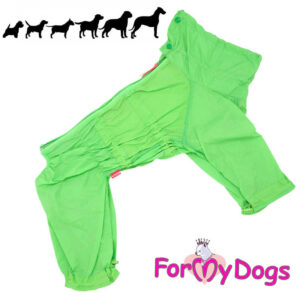 ForMyDogs kesähaalari isohkolle poika koiralle