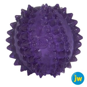 JW Bristl-ee cactus koiran herkuilla täytettävä violetti pallo.