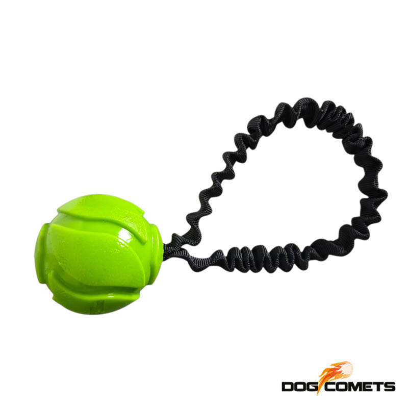 DogComets AstroFlex koiran pallo joustavalla käsilenkulla.